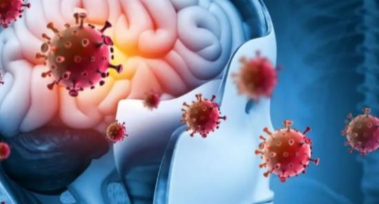 Over 100 Meningitis Cases Reported